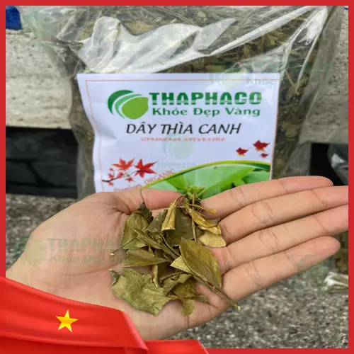 Dây Thìa Canh có thể được sử dụng dưới nhiều dạng như dược liệu khô, trà hoặc chiết xuất.