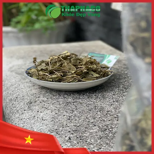 Dây thìa canh chất lượng được THAPHACO cung cấp