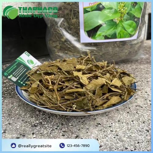 Cách pha trà Dây Thìa Canh đúng cách