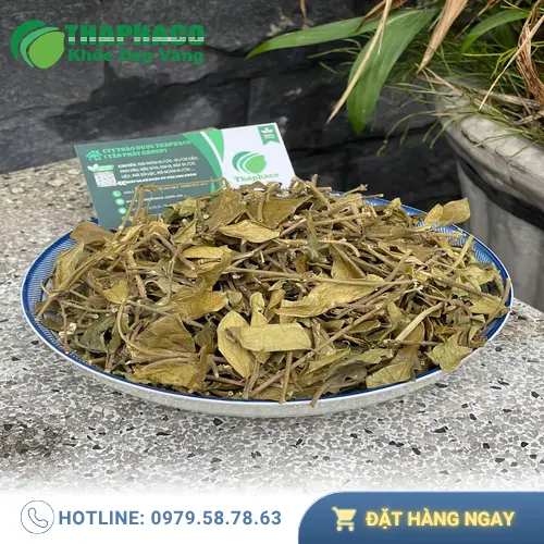 Sơ cứu khi gặp tác dụng phụ của Dây Thìa Canh