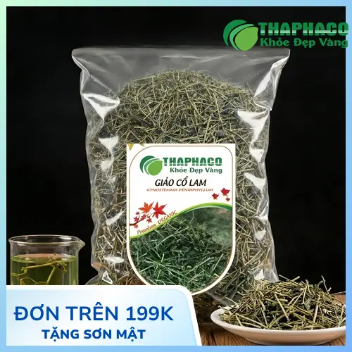 Giảo cổ lam khô chất lượng cao