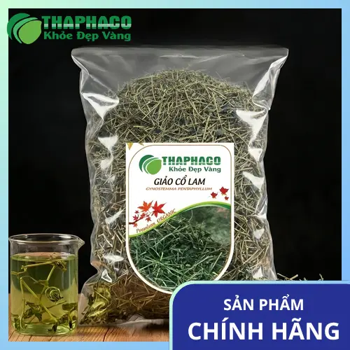 Giảo cổ lam khô chất lượng tại THAPHACO