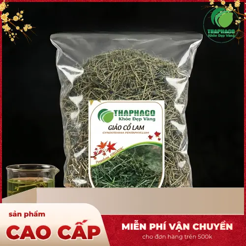 Hình ảnh Giảo Cổ Lam khô tại THAPHACO