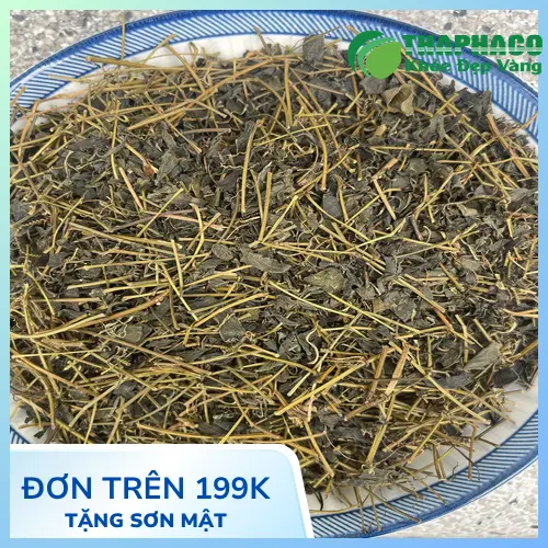 Giảo cổ lam có tốt cho gan không
