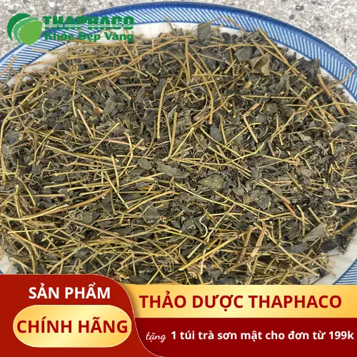Cách pha trà giảo cổ lam khô