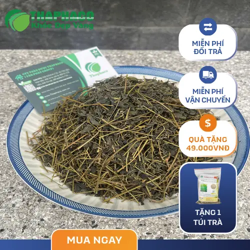 Công dụng hỗ trợ sức khỏe của Giảo Cổ Lam