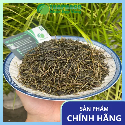 Hoa và quả của Giảo Cổ Lam