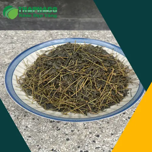 Giảo Cổ Lam Khô THAPHACO chất lượng cao