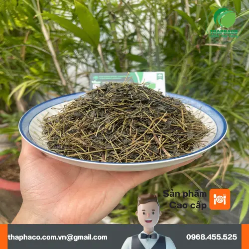 Tác dụng của giảo cổ lam với gan