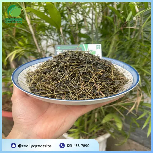 Liều lượng giảo cổ lam khuyến nghị