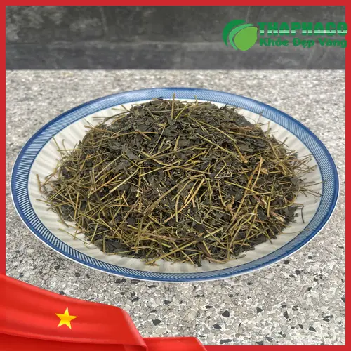Giảo Cổ Lam tươi vừa thu hái