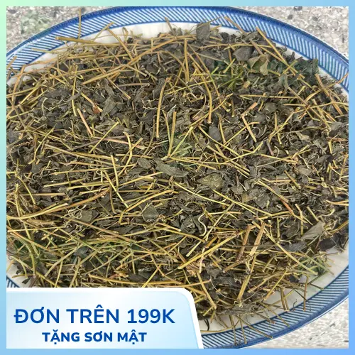 Báo giá Giảo Cổ Lam Khô THAPHACO