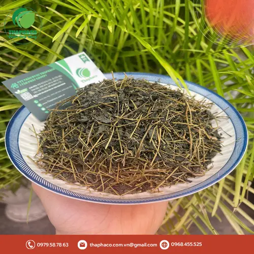 Mua Giảo Cổ Lam chất lượng tại THAPHACO