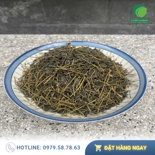 Lưu ý khi sử dụng giảo cổ lam