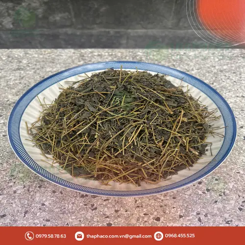 Chọn Giảo Cổ Lam chất lượng để đảm bảo an toàn khi sử dụng.