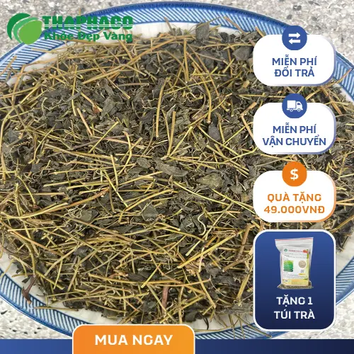 Trà Giảo Cổ Lam pha sẵn