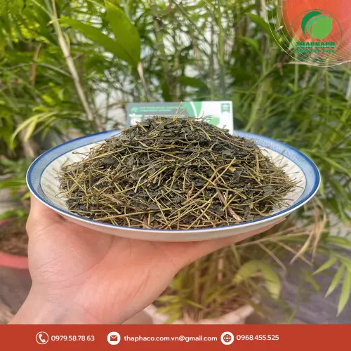 Địa chỉ mua Giảo Cổ Lam Khô THAPHACO