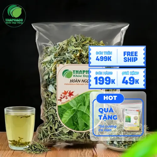 Lá Hoàn Ngọc khô tự nhiên tại THAPHACO