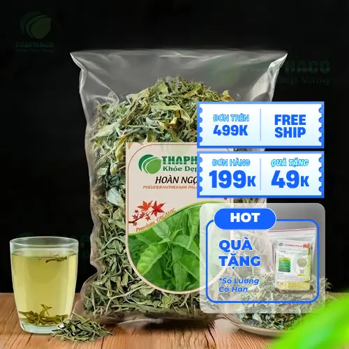 Lá Hoàn Ngọc tươi - thảo dược tự nhiên