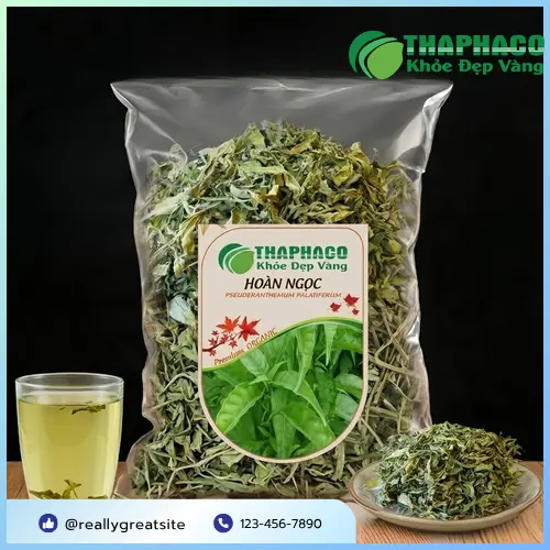 Cây Hoàn Ngọc – loại thảo dược quý trong dân gian