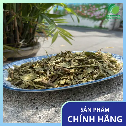Phụ nữ mang thai và thảo dược