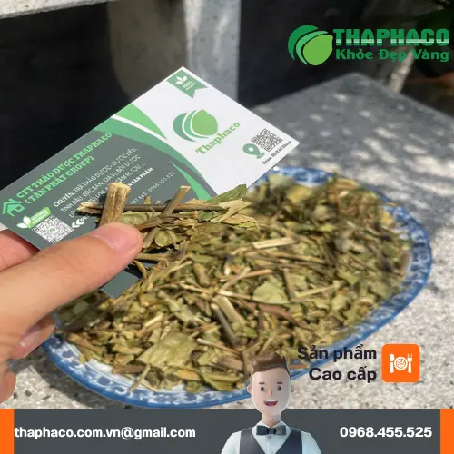 Lá Hoàn Ngọc khô được chọn lọc kỹ lưỡng