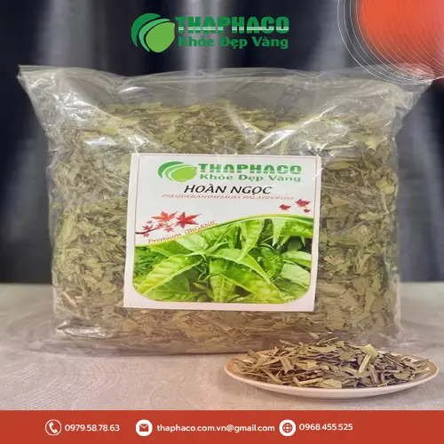 Lá cây Hoàn Ngọc trắng