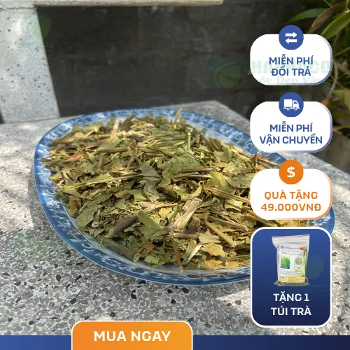 Các bước pha trà lá Hoàn Ngọc khô đơn giản