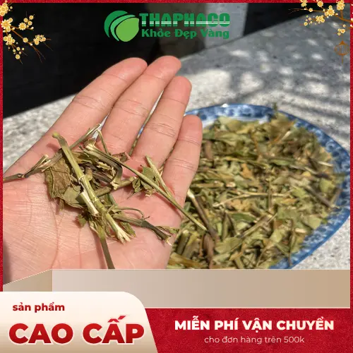 Chuyên gia y tế tư vấn bà bầu