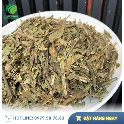 Chế độ ăn uống và chăm sóc thai kỳ an toàn