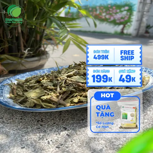 Hoàn Ngọc khô THAPHACO giao hàng toàn quốc