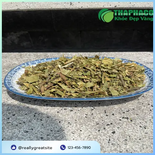 Thân và lá Hoàn Ngọc đỏ