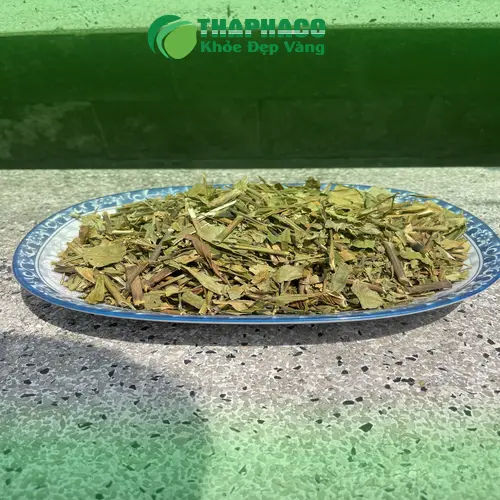 Chọn mua Hoàn Ngọc khô chất lượng và bảo quản đúng cách