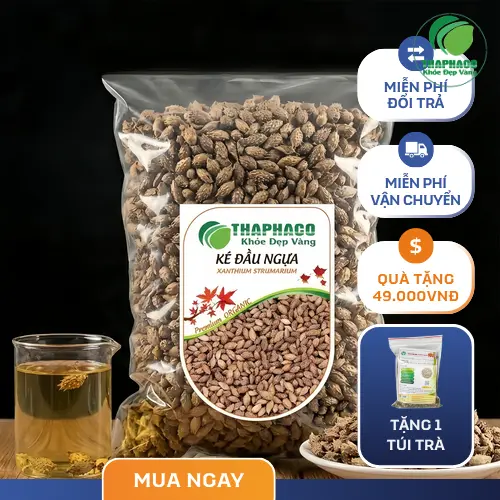 Hình ảnh cây Ké Đầu Ngựa