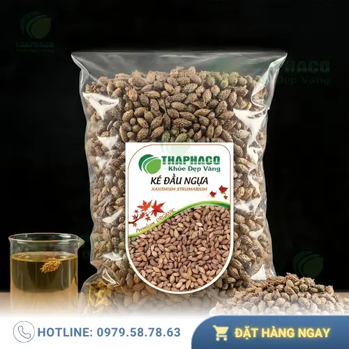 Cây ké đầu ngựa và quả ké đặc trưng