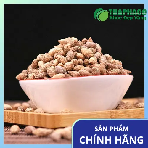 Công dụng của Ké Đầu Ngựa