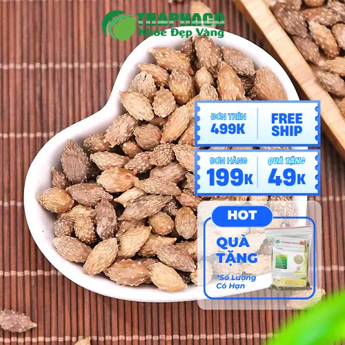 Ké Đầu Ngựa và những câu hỏi thường gặp