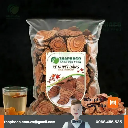 Kê Huyết Đằng khô chất lượng tại THAPHACO