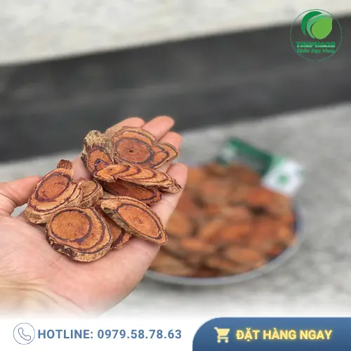 Giá Kê Huyết Đằng sấy khô tại THAPHACO