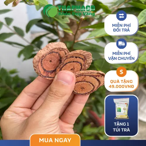 Kê Huyết Đằng phơi khô được dùng trong hỗ trợ sức khỏe