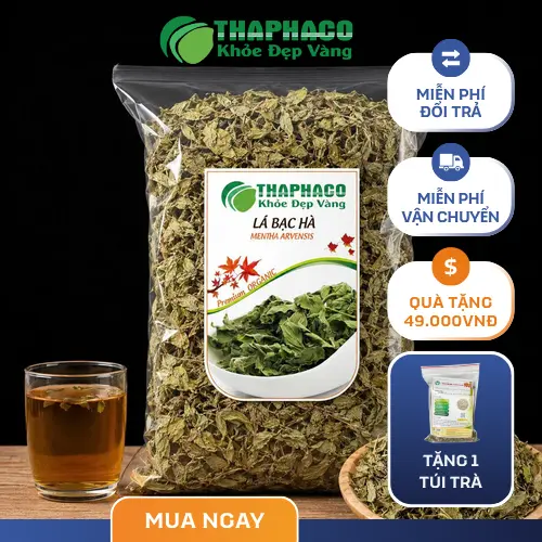 Lá bạc hà khô dùng để pha trà thảo mộc