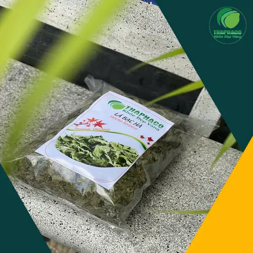 Cách pha trà bạc hà khô thơm ngon