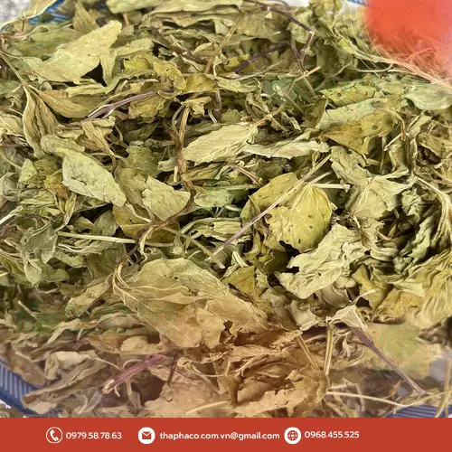 Người cần thận trọng khi dùng trà bạc hà