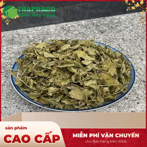 Sản phẩm lá bạc hà khô chất lượng tại THAPHACO