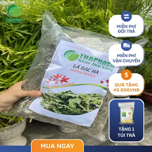Lá bạc hà khô chất lượng cao tại THAPHACO