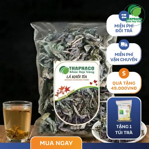 Lá Khôi Tía - Thảo dược tự nhiên hỗ trợ sức khỏe tiêu hóa