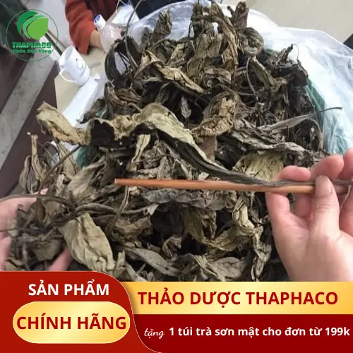 Tiêu chí chọn mua Lá Khôi Tía khô chất lượng