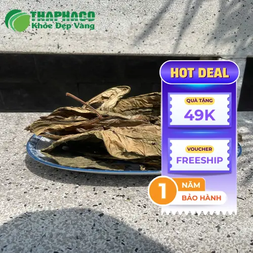 Sản phẩm Lá Khôi Tía khô THAPHACO
