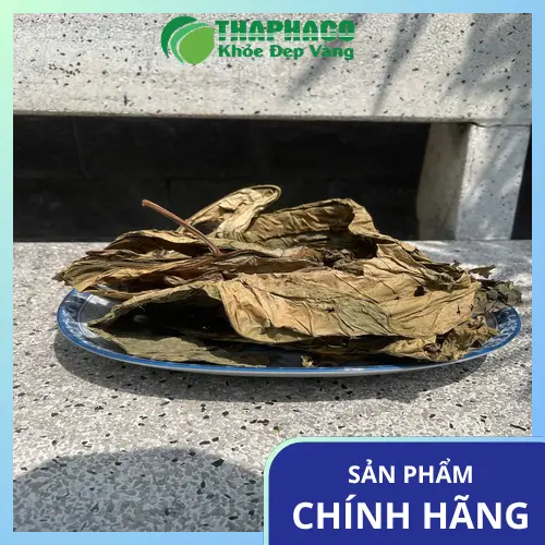 Lá Khôi Tía chất lượng từ THAPHACO