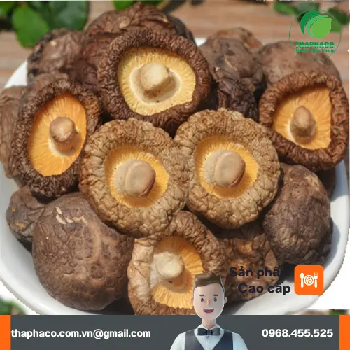Nấm đông cô tươi ngon